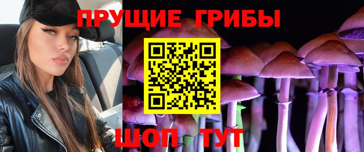Надым  где купить наркоту  Вход с VPN  Псилоцибиновые грибы MAGIC MUSHROOMS 
